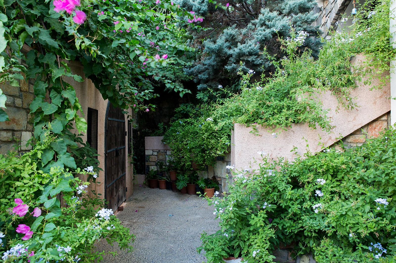 Villa